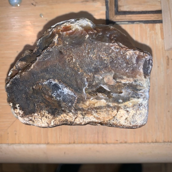 Agate petrified wood 300+ grams - Picture 2 of 7
